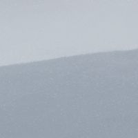 Ski White